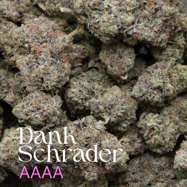 Dank Schrader from Elephant Garden Multiple buds Feb 2026
