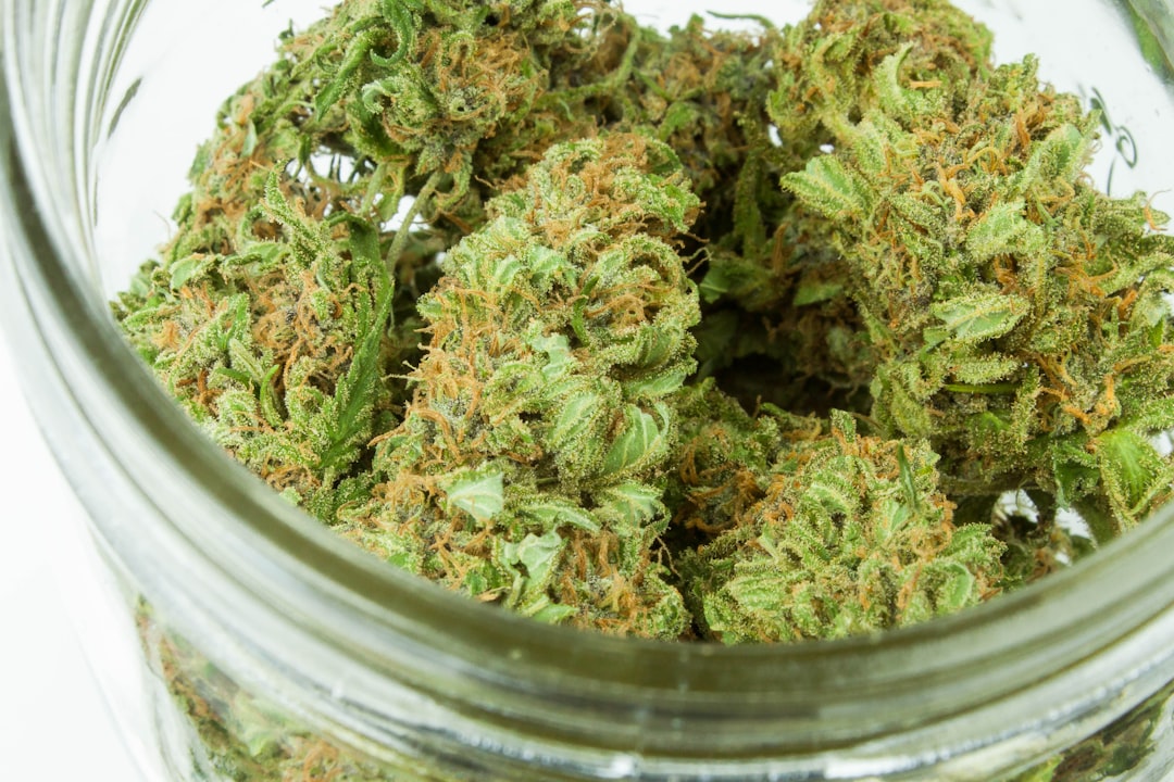 Cannabis flower buds displayed in a clear glass jar showing trichomes and colour