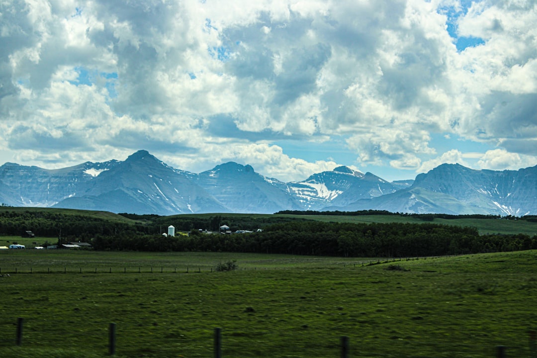 Green prairie field with Rocky Mountain foothills in southern Alberta near Lethbridge