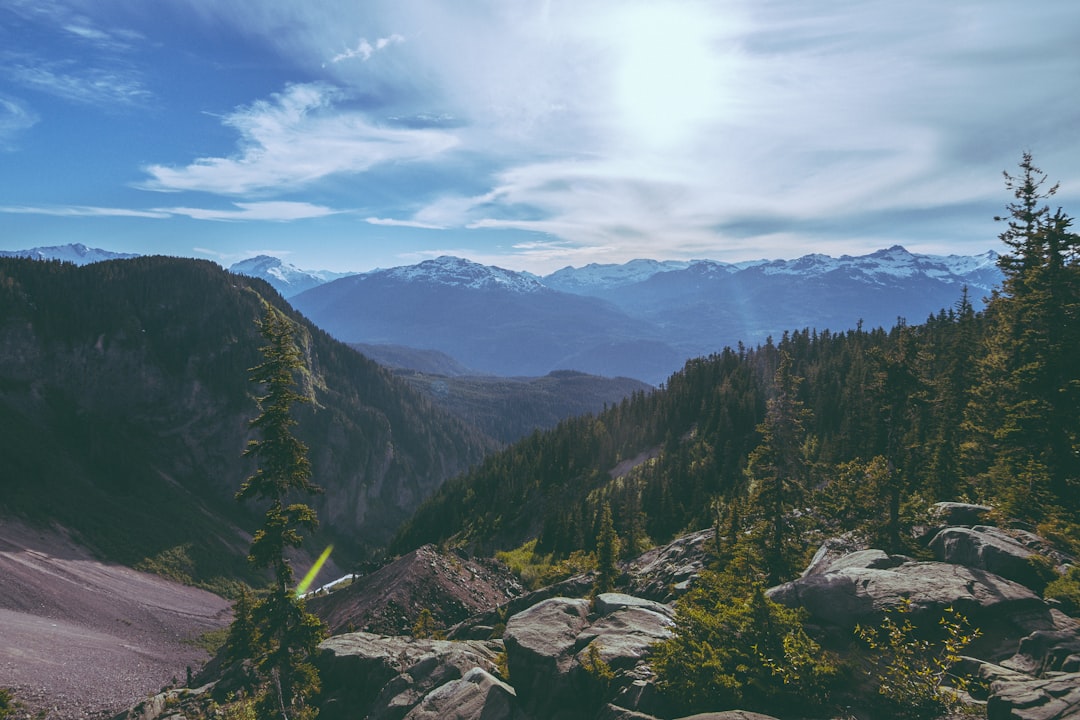 Scenic British Columbia mountain range surrounded by dense forest