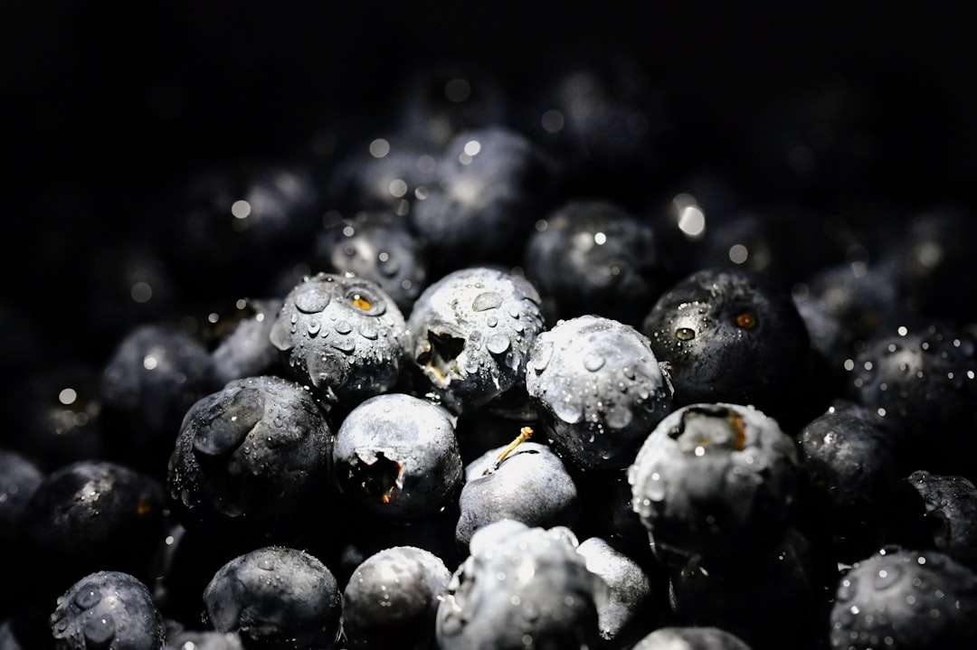 Fresh blueberries covered in water droplets representing the Blueberry Mac strain flavour profile