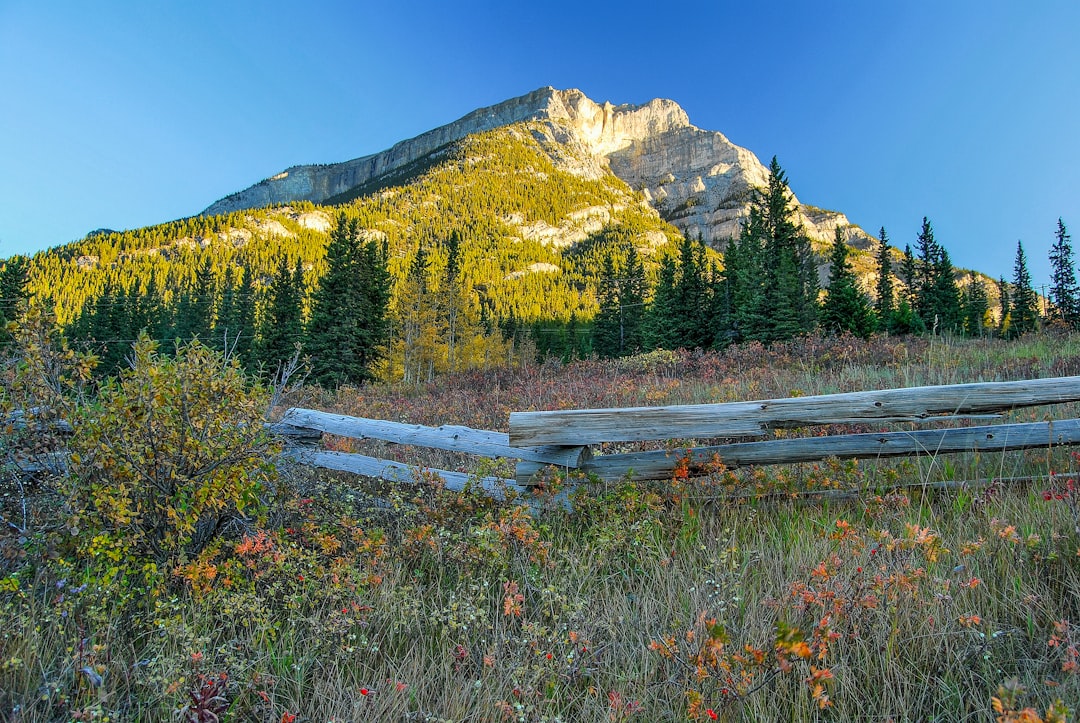 Scenic Alberta landscape with wooden fence leading toward the Rocky Mountains near Airdrie