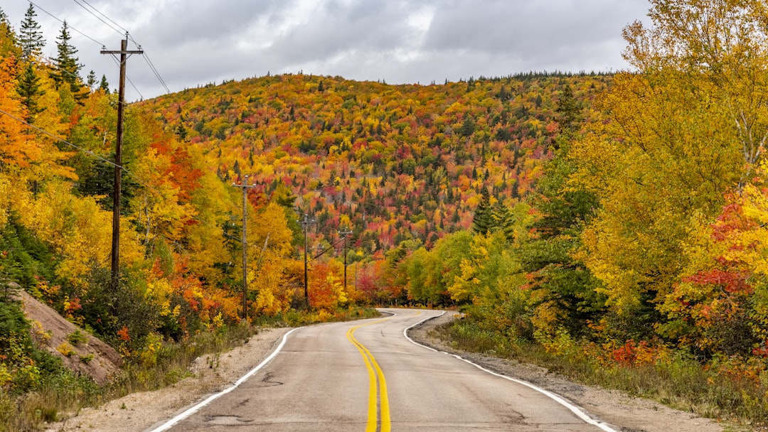 Cape Breton Cabot Trail winding through autumn highlands