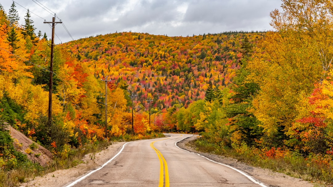 Cabot Trail road winding through Cape Breton highlands with vibrant autumn colours