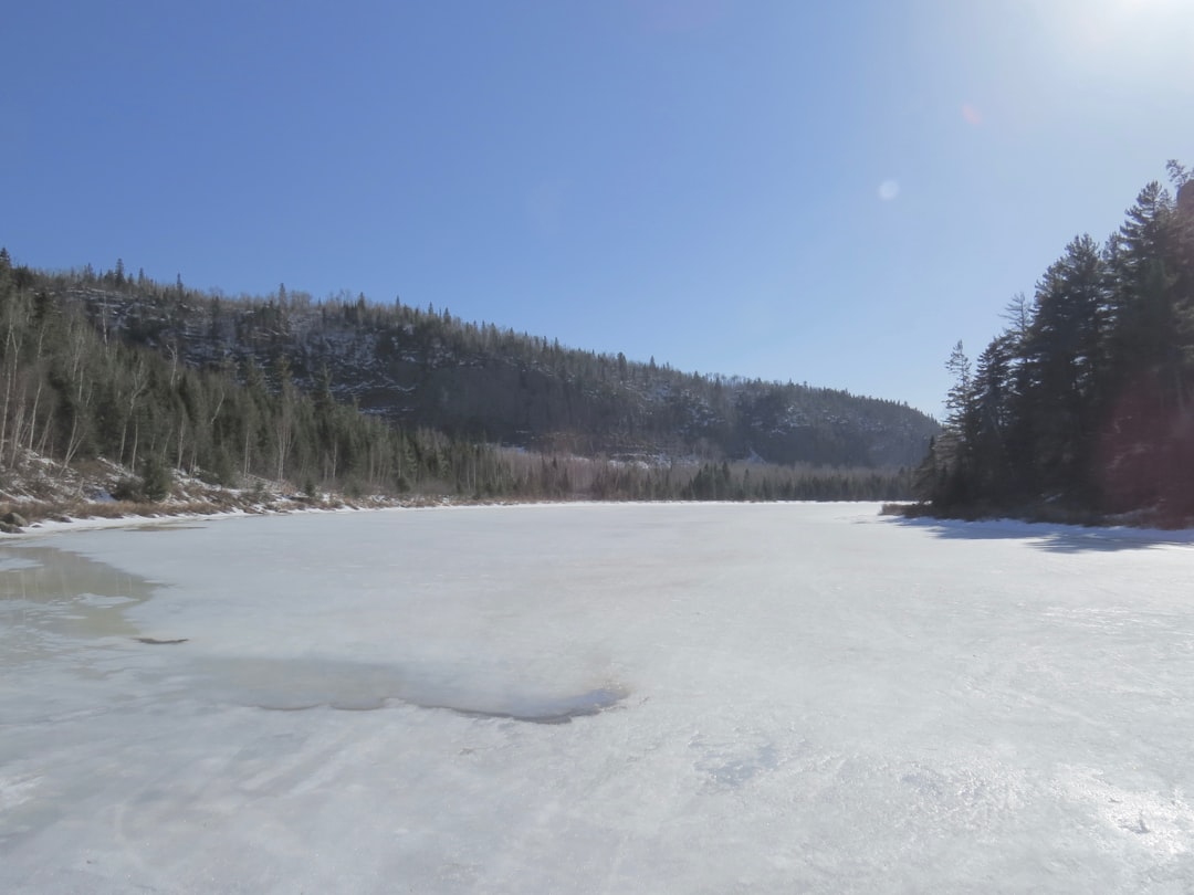 Scenic northern Ontario winter landscape with snow-covered evergreen trees representing North Bay cannabis delivery