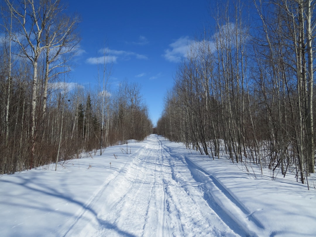 Snow covered field and winter landscape in Northern Ontario