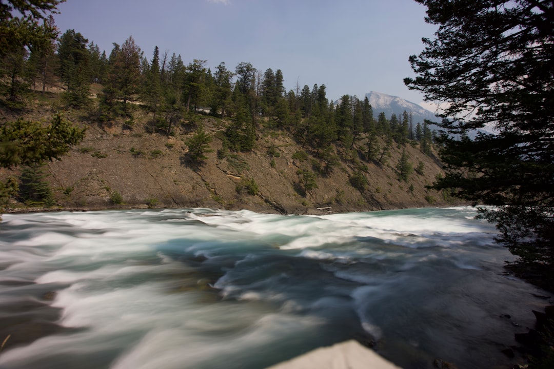 Bow River flowing through lush forest near Banff with mountain scenery