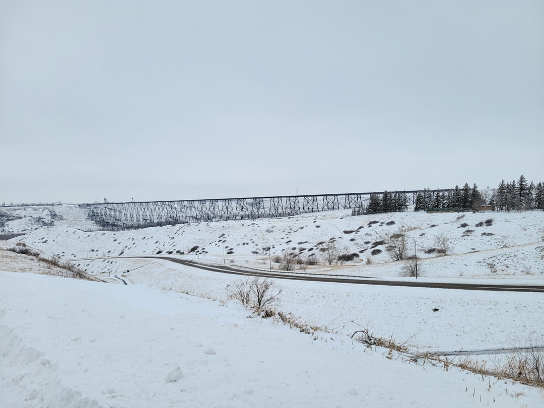 Snow covered Alberta landscape representing winter cannabis delivery across the prairies