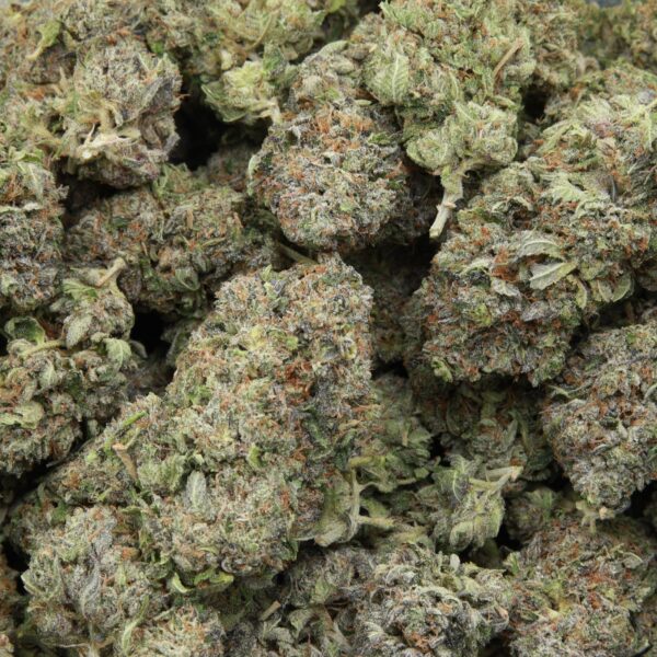 Death Valley OG from Elephant Garden multiple bud March 2026