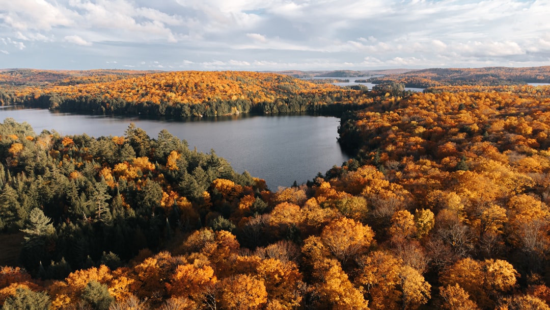 Scenic Canadian lake surrounded by autumn trees in Ontario