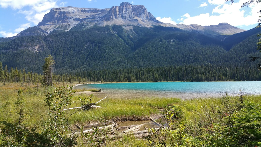 Mountain lake surrounded by green pine trees in British Columbia near Coquitlam