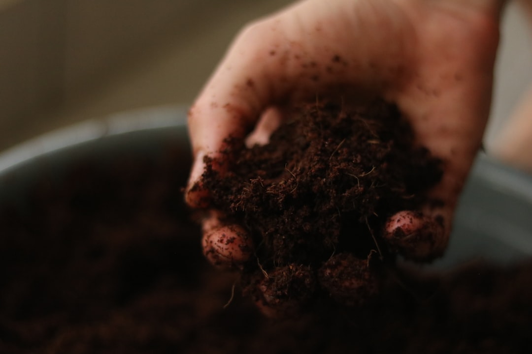 Hands holding rich dark organic living soil full of nutrients and microorganisms