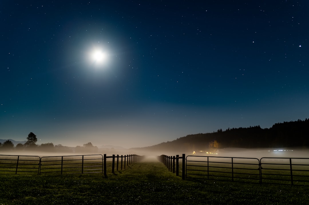 Serene moonlit night over a grassy field evoking calm and restful sleep