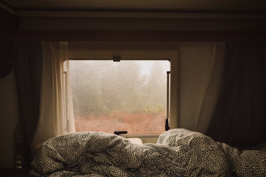 Cozy bed by a window overlooking a forest for a relaxing evening